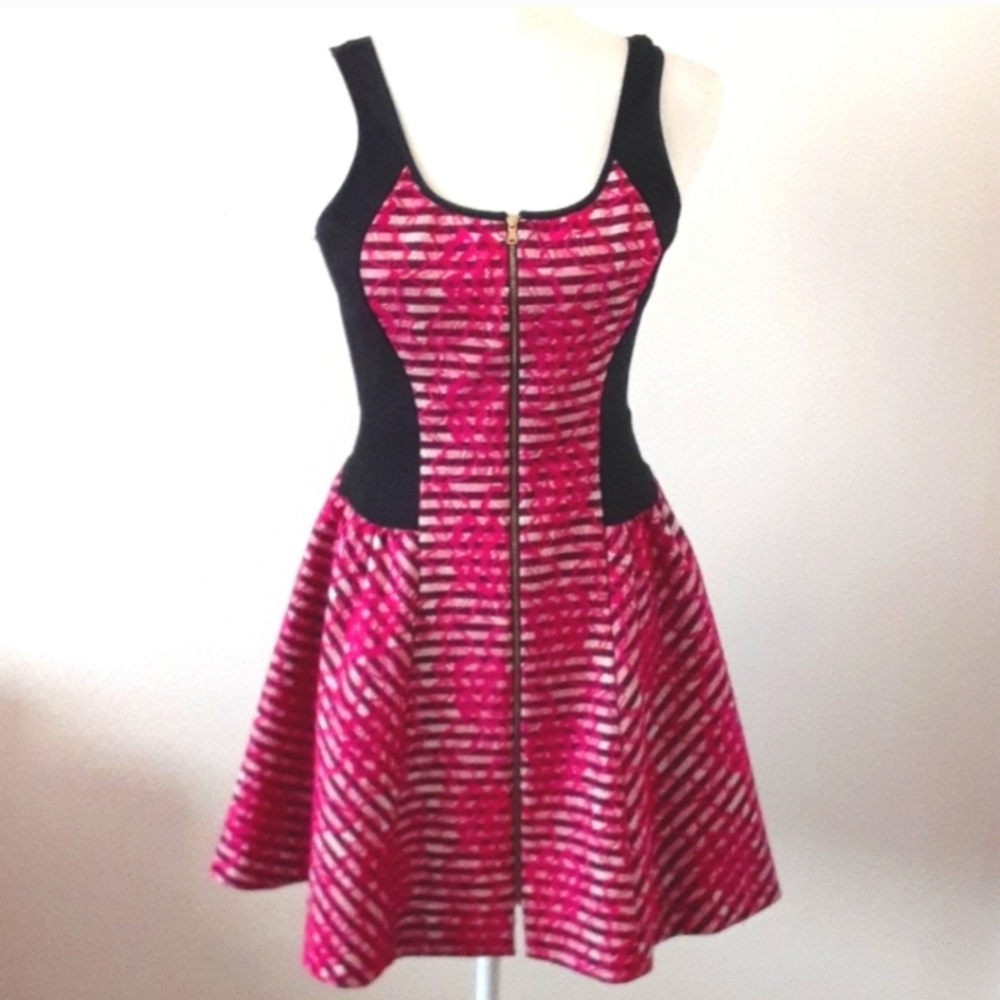 Amanda Uprichard Nadia Lace Skater Dress Pink Striped Gold Zip Fit & Flare M